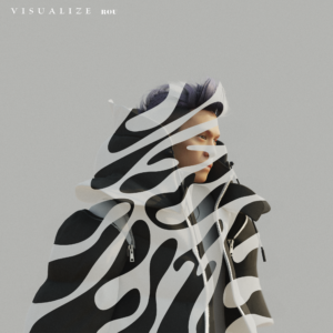 Cover : VISUALIZE